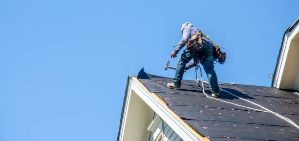 Best Roof Gutter Cleaning  in Flower Hill, NY